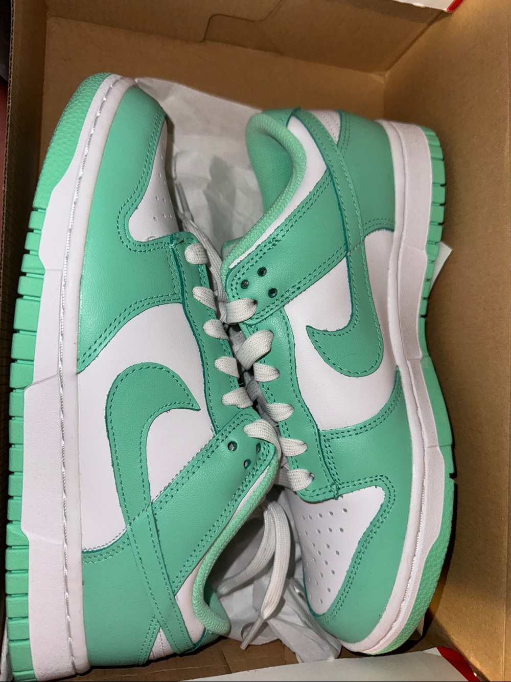 Nike Women’s Low-Top Sneakers in Mint Green and White